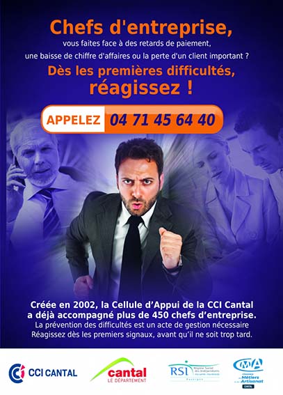 cellule d'appui cci du cantal 