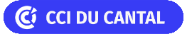 Logo CCI France